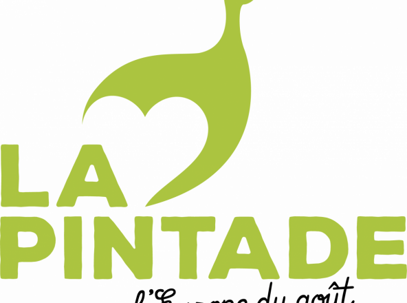 logo pintade